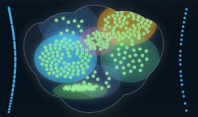 FRAIM Brain preview showing jobs outside the brain and skills illuminated across internal regions